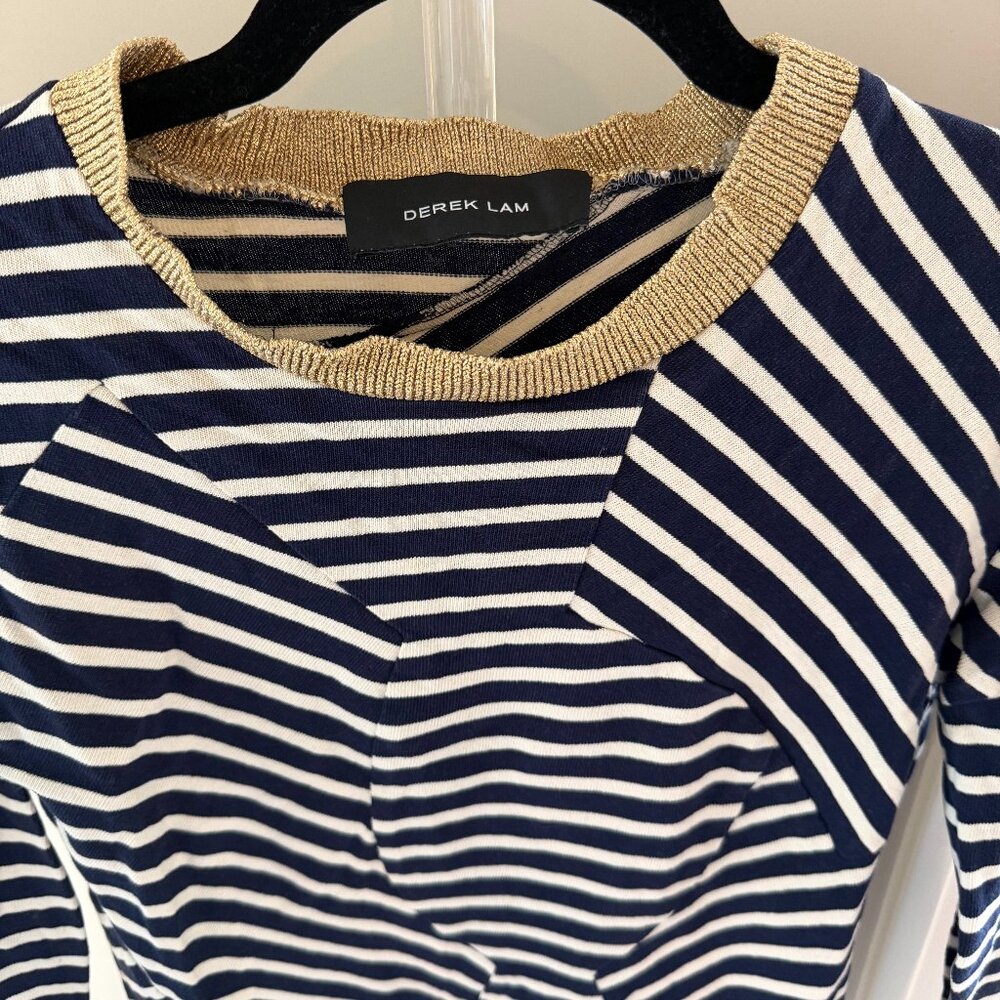 Derek Lam Asymmetrical Seam Striped Top with Metallic Trim